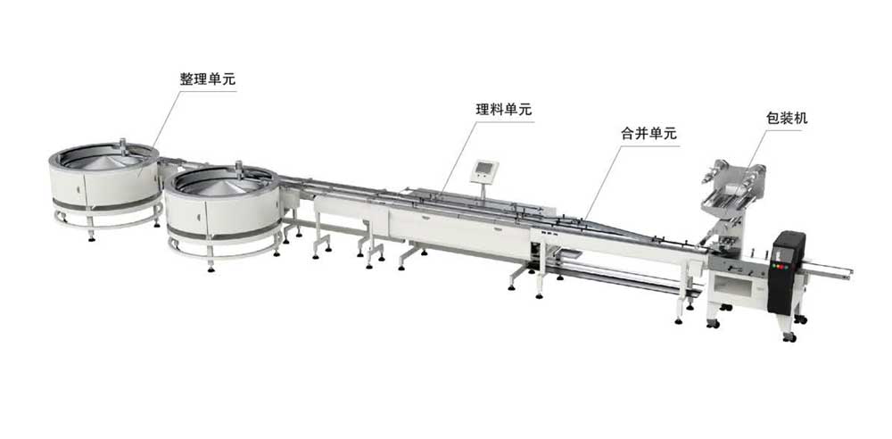 雙通道餅干料理包裝系統(tǒng)